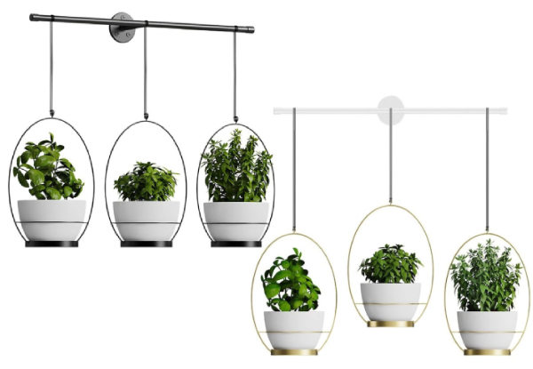 Three-Pot Wall Hanging Kitchen Planter Rack - Two Colours Available