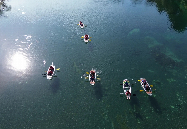 Waikato River Float Tour with Canoe & Kayak Taupo from $54