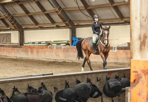 One-Hour Group or 30-Minute Private Horse Riding Lesson - Options for up to Three Lessons
