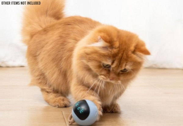 USB Charging Smart Interactive Cat Toy