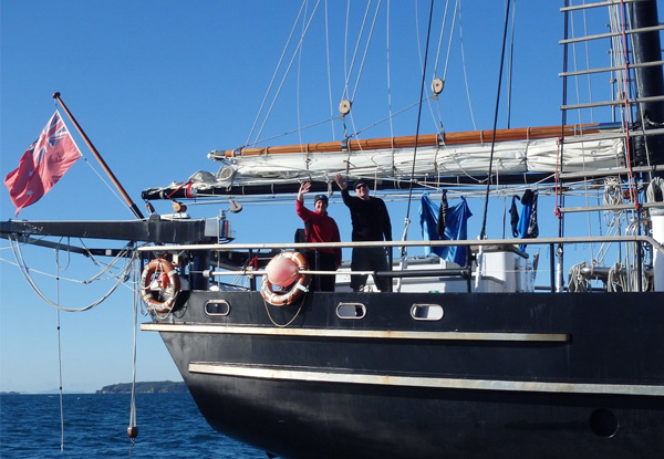 Sail The High-Seas with a Half-Day Sailing Experience Onboard Spirit of New Zealand