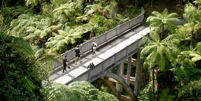 $799 Per Person for a Five-Day Guided Whanganui National Park Canoe Safari incl. Meals & Accommodation (value up to $1,095)