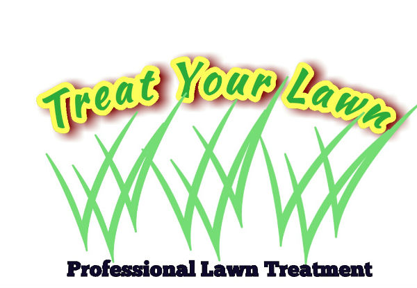 Spring Lawn Treatment Service - Options for Lawn Area up to 320m2