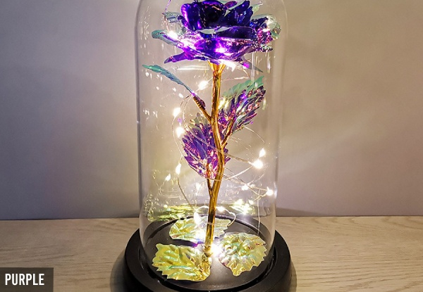 Encased Artificial Rose with LED Lights - Five Colours Available