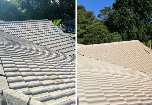 Concrete Tile Roof Painting - Options for up to 200m² Roof