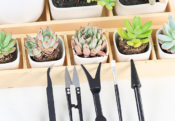 14-Piece Mini Garden Succulent Tool Set