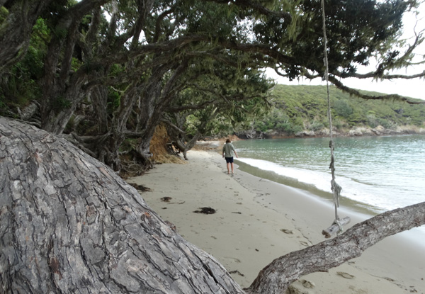 One-Night Sailing Adventure in the Bay of Islands for Two People Incl. Fuel, Linen & Insurance - Option for Two Nights & Four  People Available