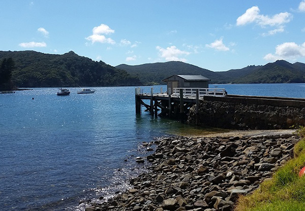 Return Car Ferry to Great Barrier Island for One Car & Two Adults - Option for Four Adults