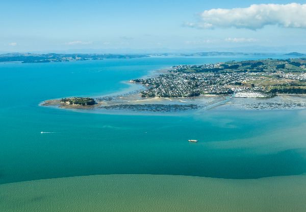 Auckland & Rangitoto Scenic Flight for One Person - Options for up to Three People