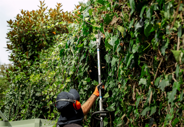 Two-Man-Hour Premium Garden Maintenance Package with Garden Waste Removal - Options for 4, 6, 8 or 10 Man Hours — photo 3