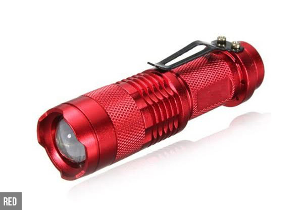 Water-Resistant Mini Flashlight - Five Colours Available with Free Metro or PO Box Delivery