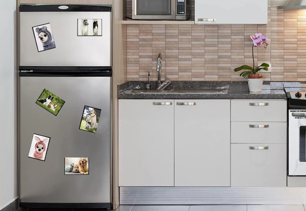 12-Pack Refrigerator Magnetic Photo Frame