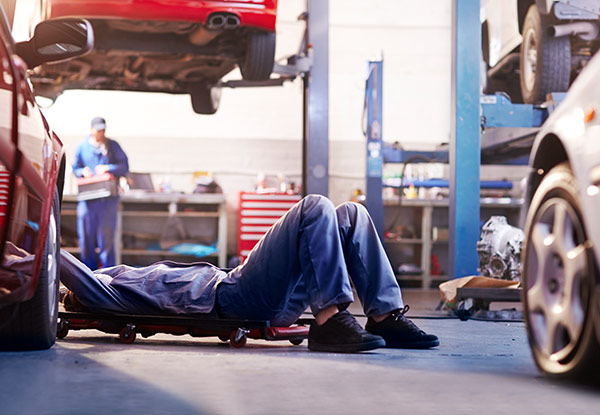 $250 for a Japanese Vehicle Cambelt Change incl. 50-Point Check Report, Scan & Clear of All Faults, & Tyre Rotation or $350 for V6 & Selected European Vehicles