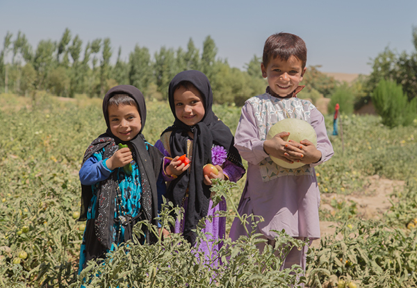 Gift a Family Vege Garden with World Vision Smiles