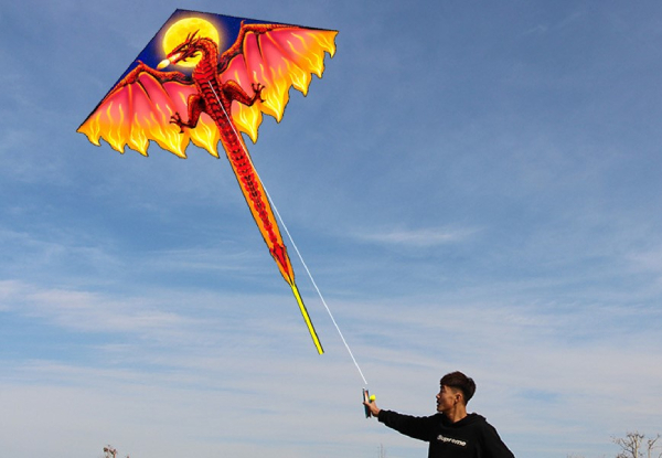 Dinosaur Kite - Two Colours Available