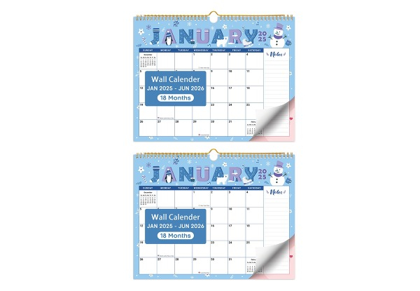 18-Monthly 2025 Wall Calendar - Option for Two-Pack