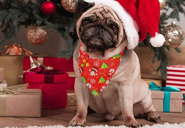 Two-Pack Pet Christmas Bandana - Five Styles Available