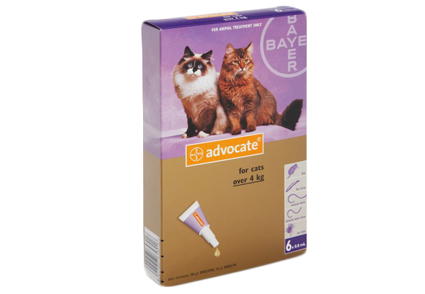 12 Tubes of Advocate Flea Treatment for Cats & Dogs incl. Urban Delivery