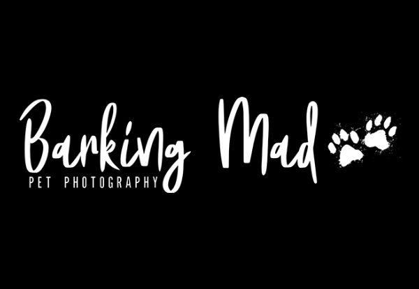 Pet Photography Package incl. One-Hour Personalised Photoshoot for One Pet & Your Choice of 10 Hi-Res Digital Files OR $150 Print Credit - Option for 20 Files OR $175 Credit & 30 Files OR $200 Credit