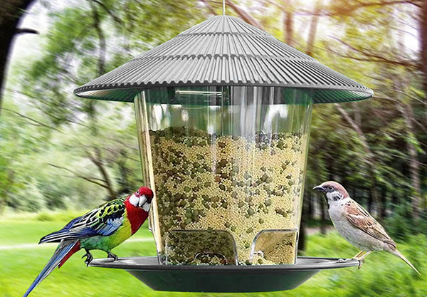 Outdoor Hanging Multiple Hole Bird Feeder