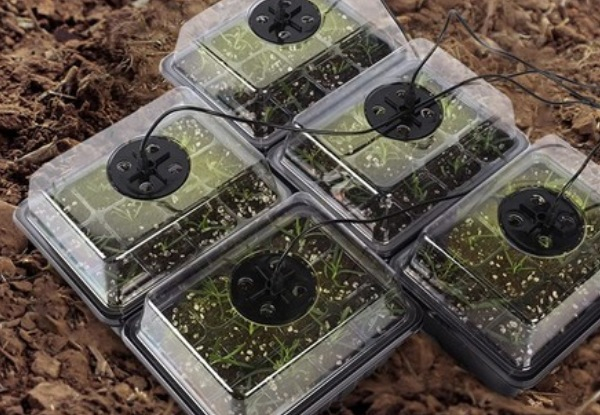 Five-Piece Seedling Tray with LED Lights & Holes - Two Colours Available