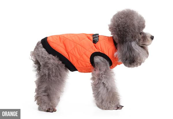 Zip-Up Winter Coat for Dogs - Four Colours & Five Sizes Available