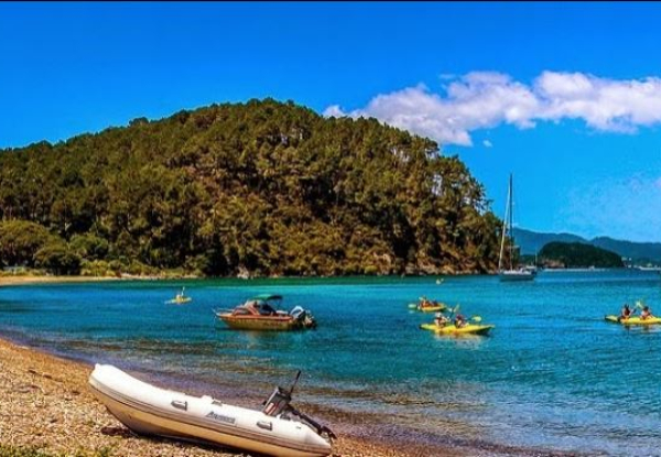 Three-Night Bay of Islands Getaway for One Person incl. All Transport, Guides, Camping Accommodation, Breakfast, Dinner & More