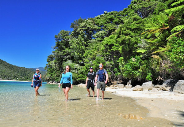 Three-Day All-Inclusive Abel Tasman National Park Self Guided Walk incl. All Meals (Breakfast, Lunch & Dinners) Beachfront Lodge Accommodation, Vista Cruise & Transfers - September to April 2023 Dates Available