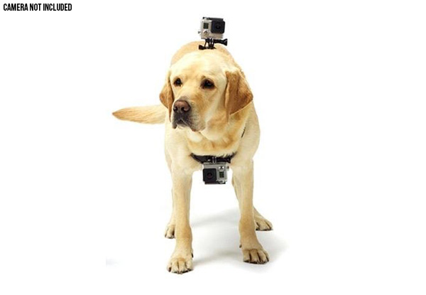Adjustable Back & Chest Camera Mount for Pets