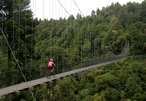 $65 for a Bike Shuttle Service for Two to the Timber Trail