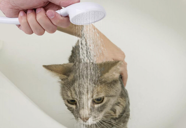 Faucet Pet Shower Spray Hose - Option for Two