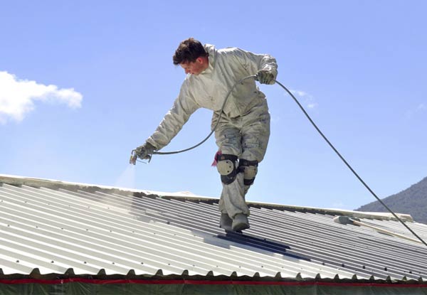 Roof Painting incl. Washing, Moss & Mould Treatment, Priming & Top Coating – Options from 100m² to 180m²