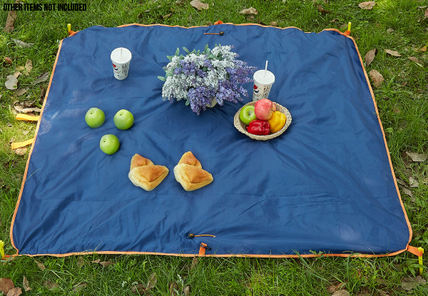 Picnic Blanket Bag with Free Delivery