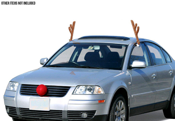 Reindeer Car Decorations - Three Colours Available with Free Delivery