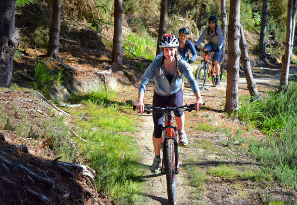 Half-Day Front Suspension Mountain Bike Hire for the Waitangi Mountain Bike Park incl. Helmet