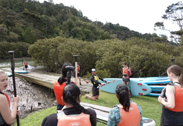 Lucas Creek Waterfall SuP Tour for One Adult