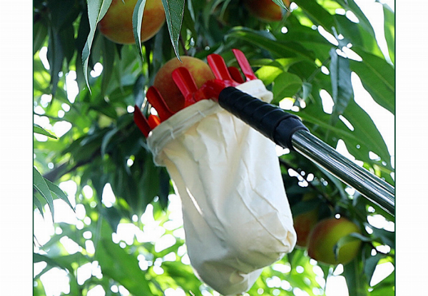 Fruit Picking Tool - Two Styles Available with Free Delivery