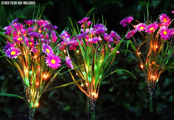 Solar-Powered Wildflower Lamp - Five Colours Available & Option for Two