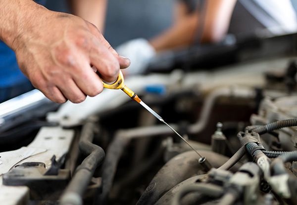 WOF or 25-Point Vehicle Safety Inspection - Options for Comprehensive Service incl. Oil & Filter Change or WOF & Petrol Service