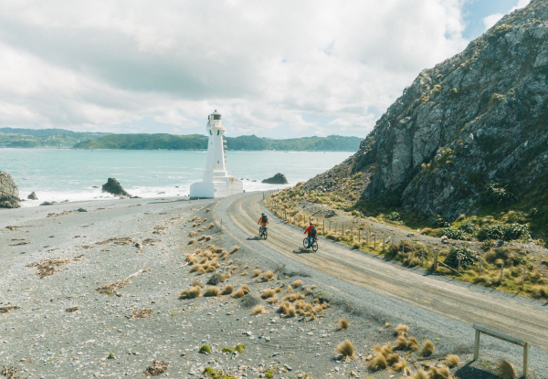 Four-Hour Mountain Bike Hire at Wildfinder Pencarrow