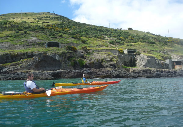 Otago Peninsula Wildlife Kayaking Tour