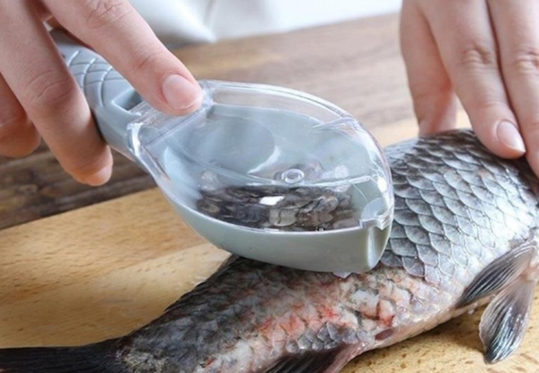 Fish Scales Grater Scraper - Three Colours Available & Option for Two with Free Delivery