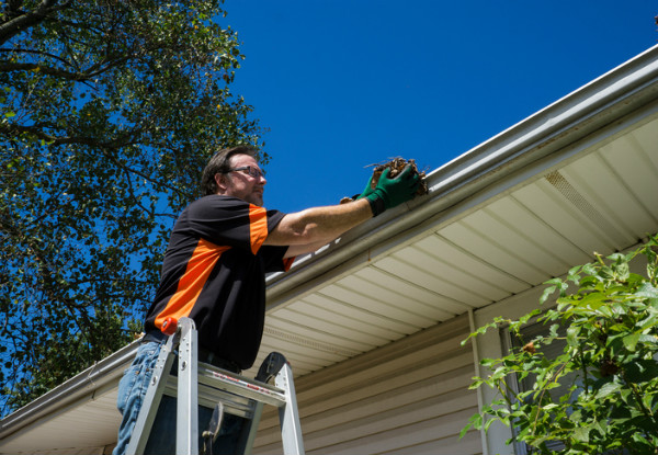 Roof & Gutter Inspection incl. Gutter Clean for a Three-Bedroom House - Options for Four- or Five-Bedroom