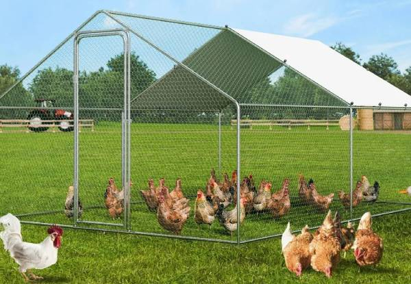 Large Chicken Coop with Roof Cover