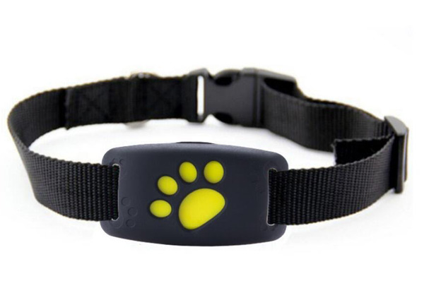 GPS 2G Pet Tracker with Free Delivery