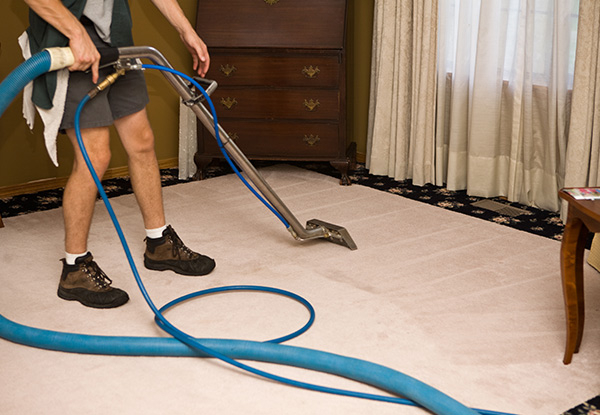 Three-Bedroom Professional Carpet Clean - Options for up to Six Rooms