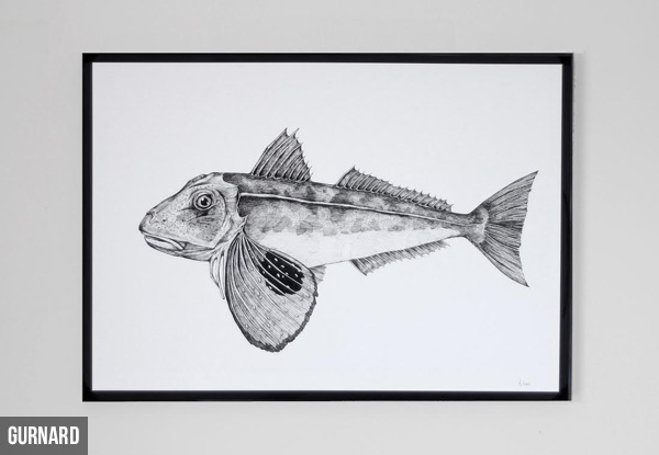 A3 New Zealand Fish Art Prints - Five Options Available with Free Delivery