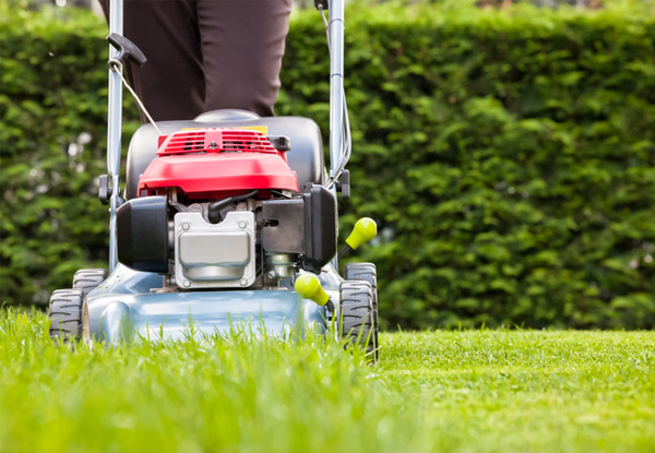 Lawn Mowing and/or Gardening - Options for up to Four-Hours of Service