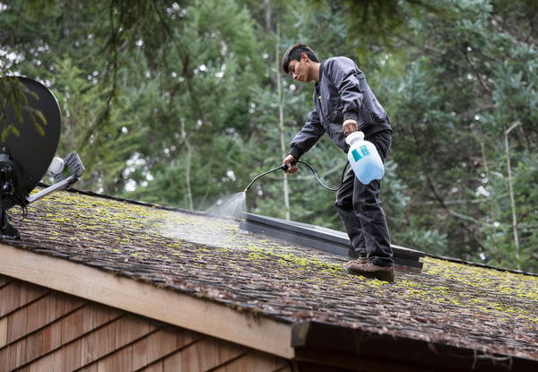 Moss & Mould Roof Treatment - Options for Up to 250m² Homes