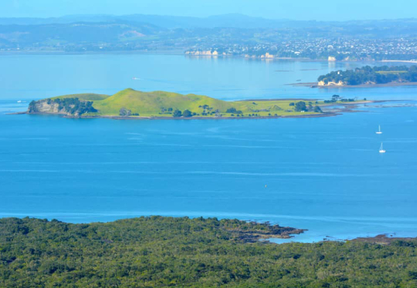 Browns Island Motukorea Sea Kayak Tour For One Adult - Option for Child